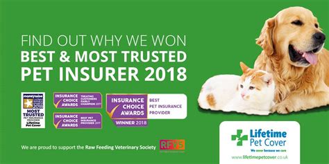 best lifetime dog insurance cover.